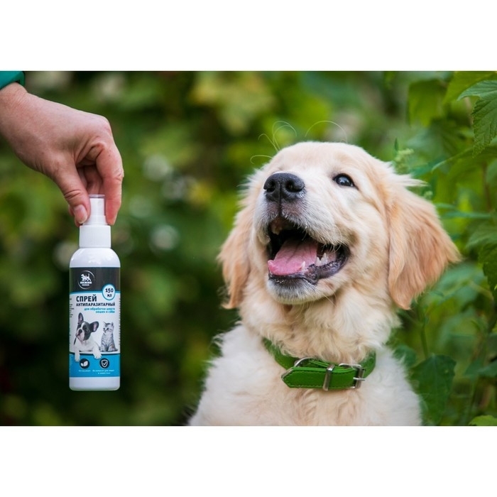 Биоспрей от паразитов «Пижон Premium» для кошек и собак, 150 мл Биоспрей от паразитов «Пижон Premium» для кошек и собак, 150 мл