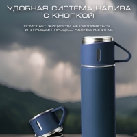 ТЕРМОС VACUUM FLASK SET синий