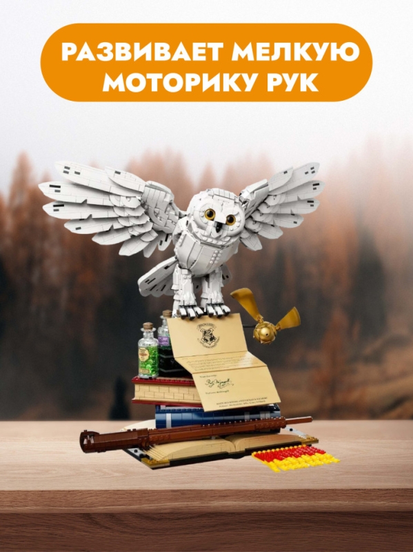 Конструктор Сова Букля Гарри Поттер 3030 деталей