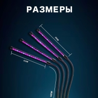 Фито лампа с таймером 4 штуки
