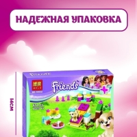 Конструктор Friends Дрессировка щенка 65 деталей